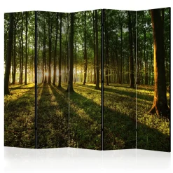 Morning in the Forest II 225x172 cm