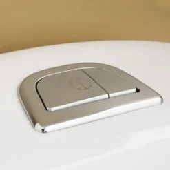 Nautic 1500 Hygienic Flush för Limning