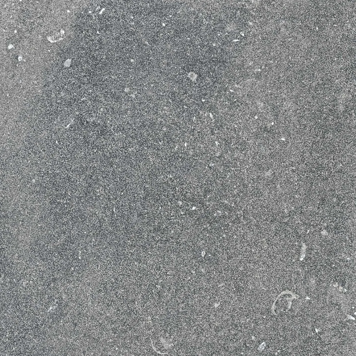 Nordique Evo Gris Fonce 100x100 cm