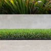 Oasis