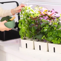 Odlingslådor Med Växtlampa & Startkit för Hemmaodling