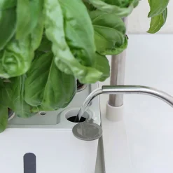 Odlingslådor Med Växtlampa & Startkit för Hemmaodling