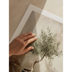 Olive Tree Mediterranean No1