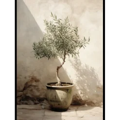 Olive Tree Mediterranean No1