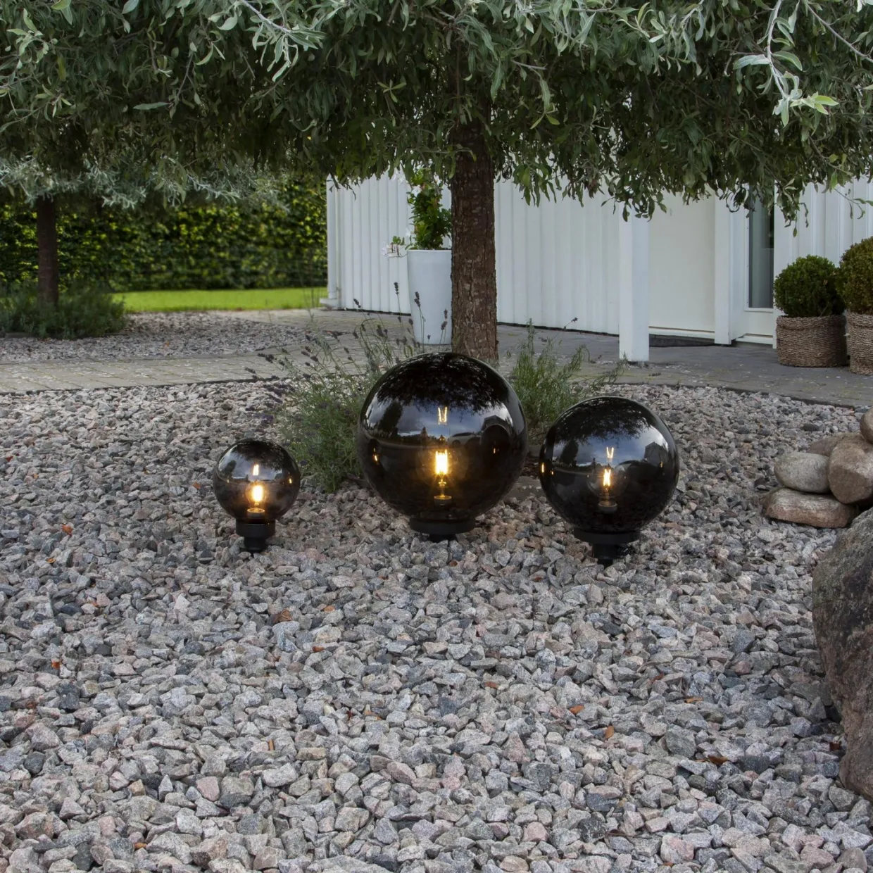 Orby