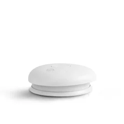 Pebble 10