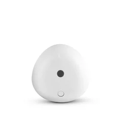 Pebble Mini