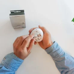 Pebble Mini