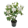 Pion