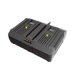 PowerShare 20V 4A Dubbel
