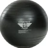 Premium Exercise Ball
