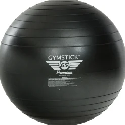 Premium Exercise Ball
