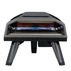 Professional V2 12''