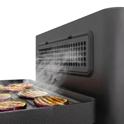Purify Smokeless Ceramic