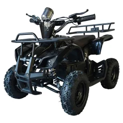 Ranger 1000W