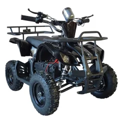 Ranger 1000W