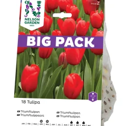Röd Big Pack