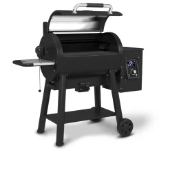 Regal Pellet 500