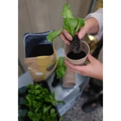 Root Bio-Humus Krav 4 L