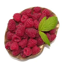 Rubus Autumn Bliss E
