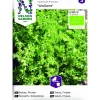Sallat Frisée Wallone Organic