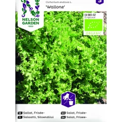Sallat Frisée Wallone Organic