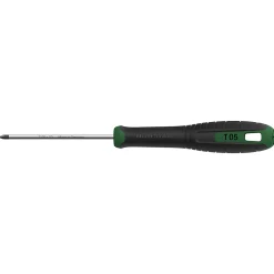 Torx T