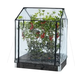 Transparent Plast, Passar till Odlingskrage - 80x120cm, Höjd 110/130 cm