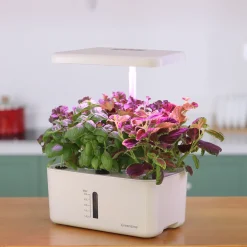 Urban Growing P8