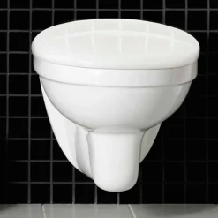 Wall med WC-fixtur och Spolplatta