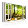 Window View On Forest