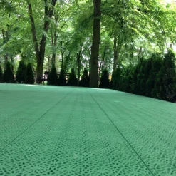 XL Spring Grass