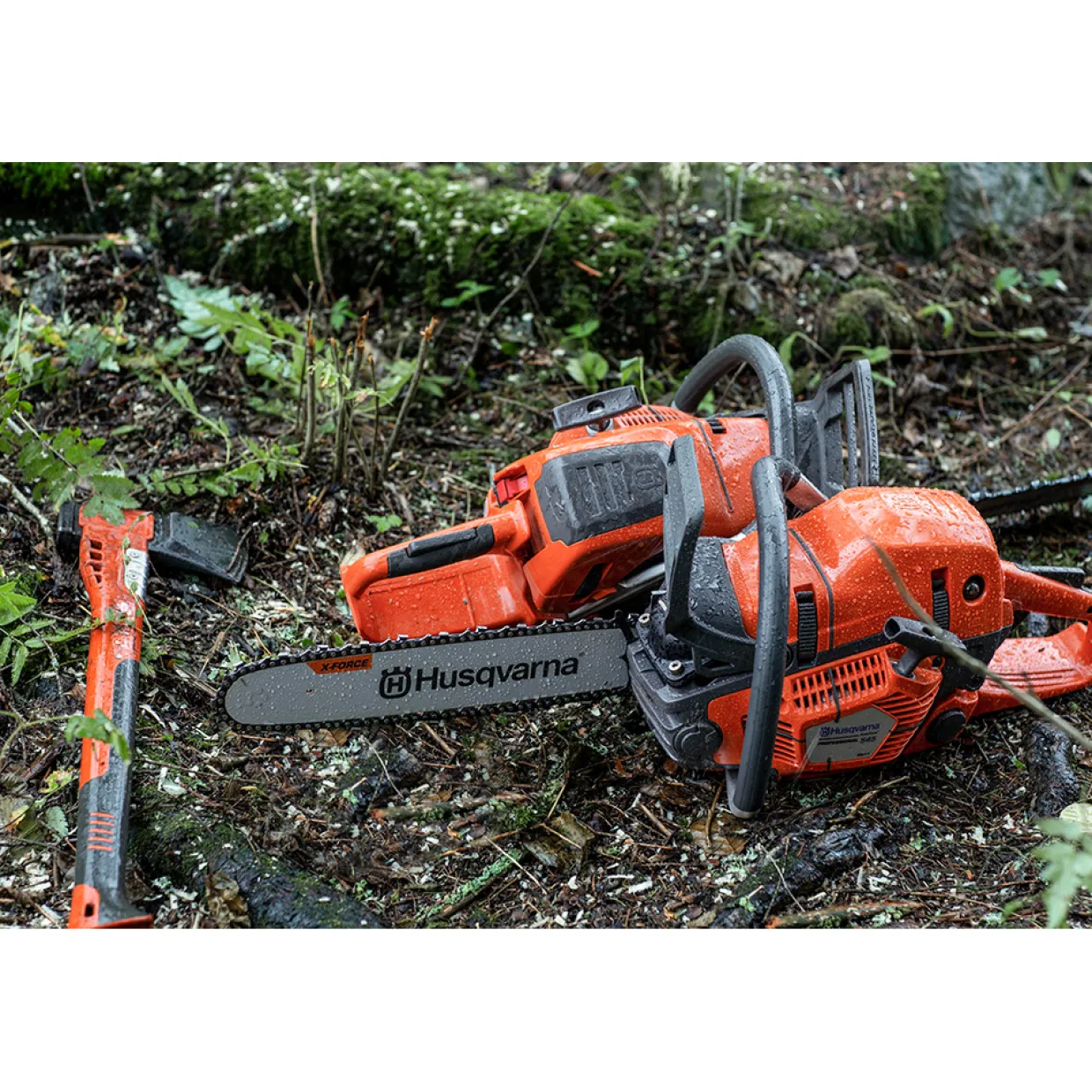 550 XPG Mark II
