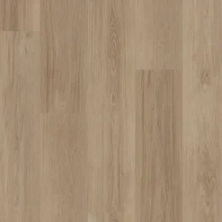Zenn 55 Orlando
